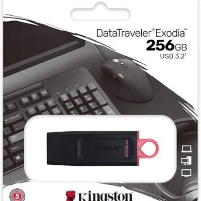 Kingston DataTraveler Exodia 256GB USB 3.2 Flash Drive DTX/256GB, Black